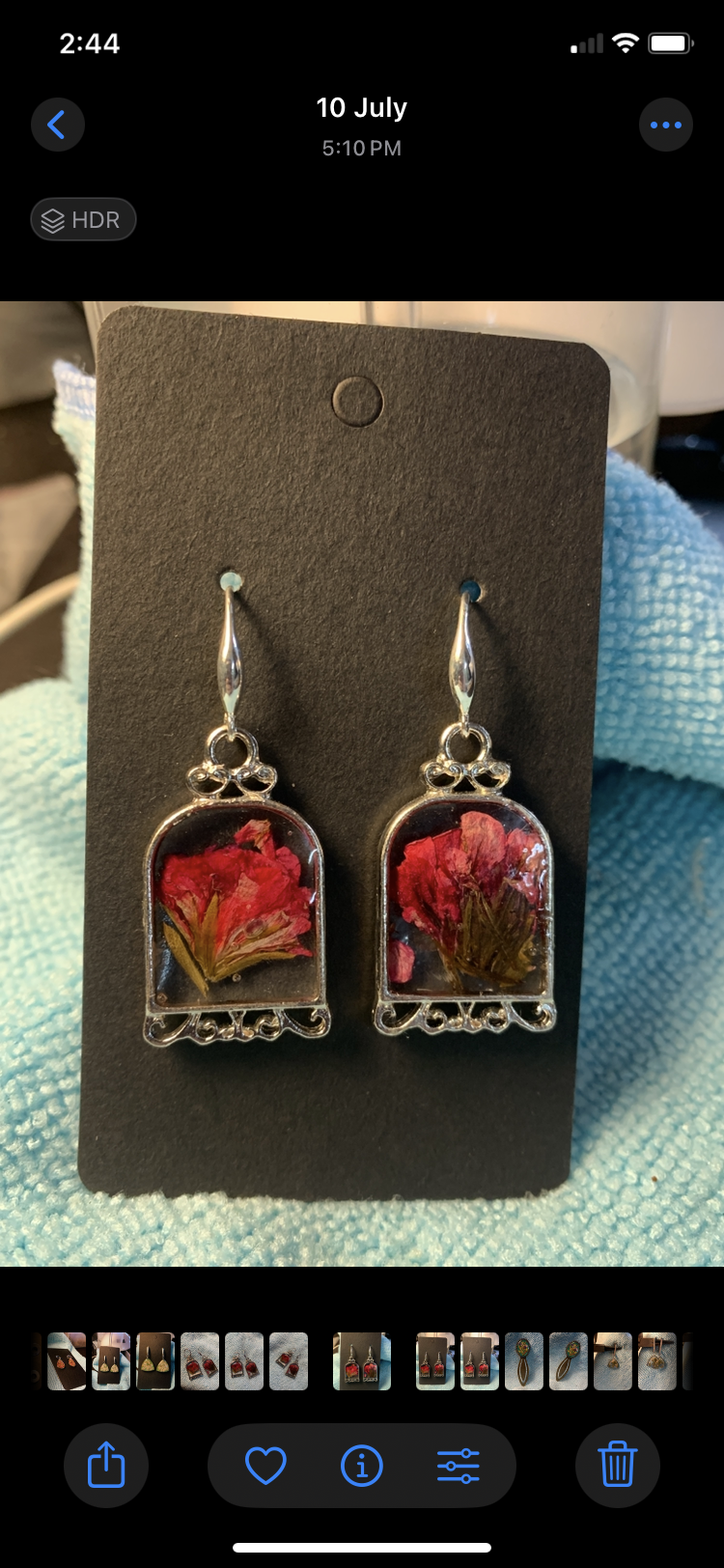 Earrings