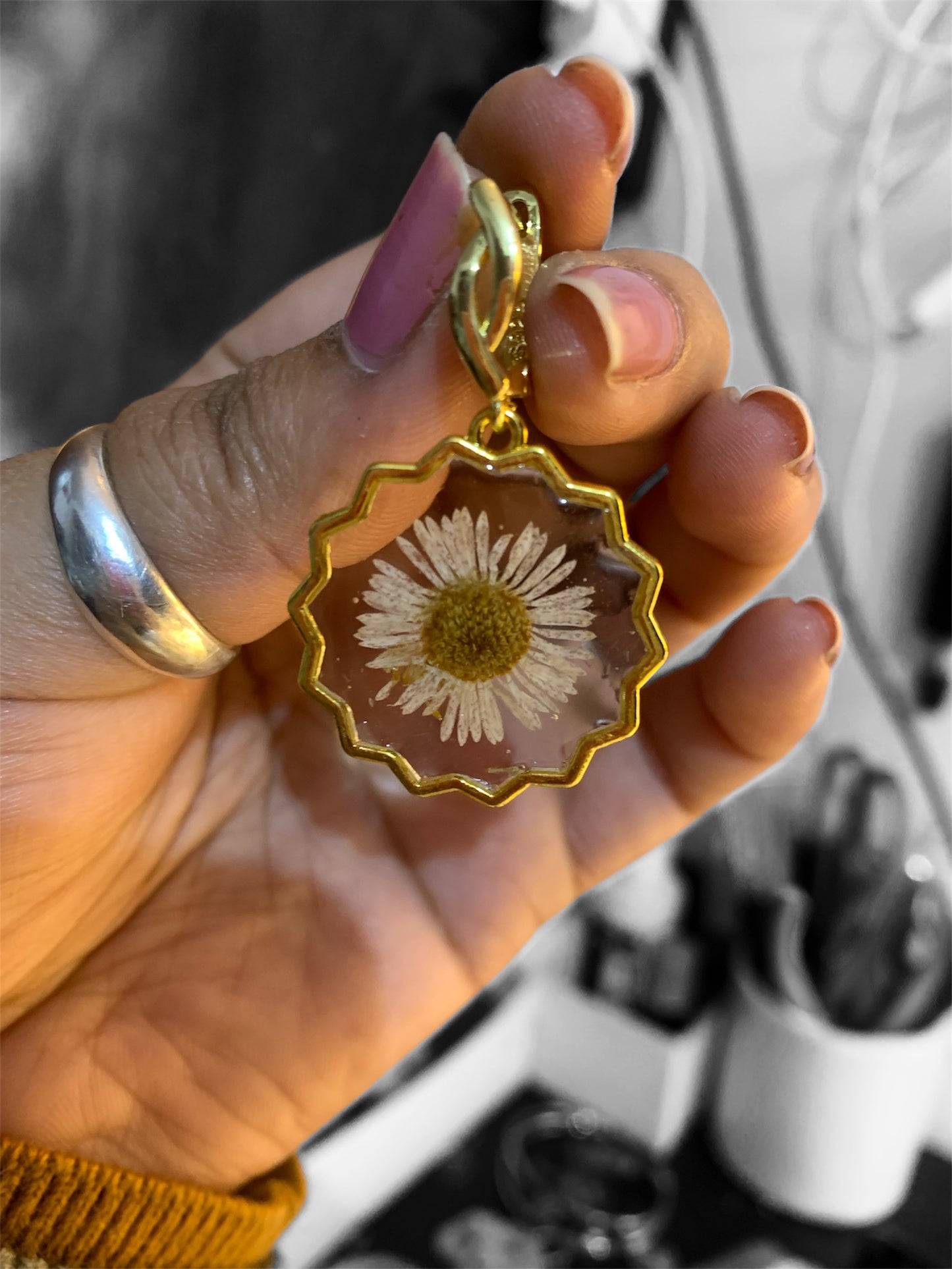 Wild daisy